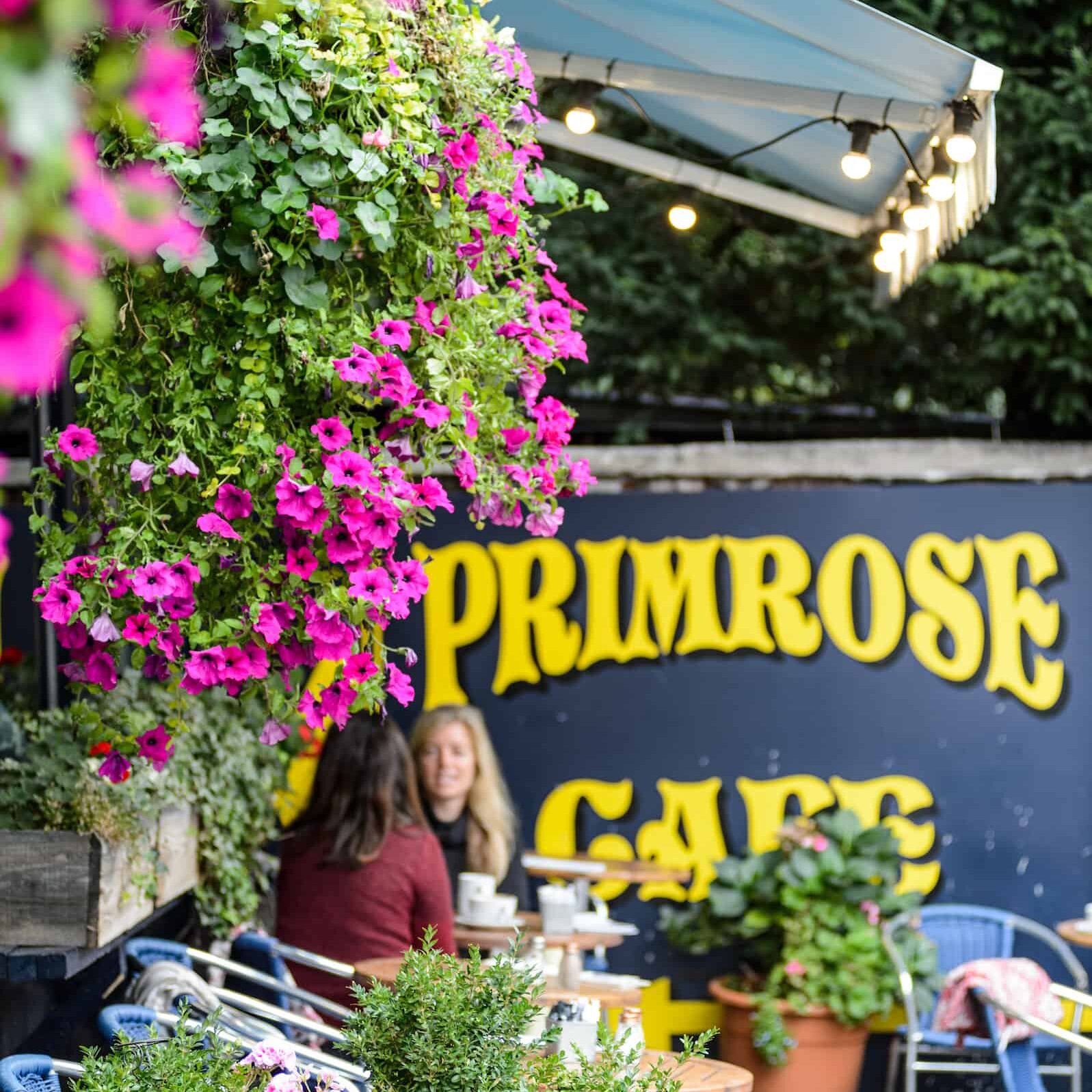 The Primrose Cafe frontage with hanging flowers and the blue Primrose Cafe sign in Clifton Arcade